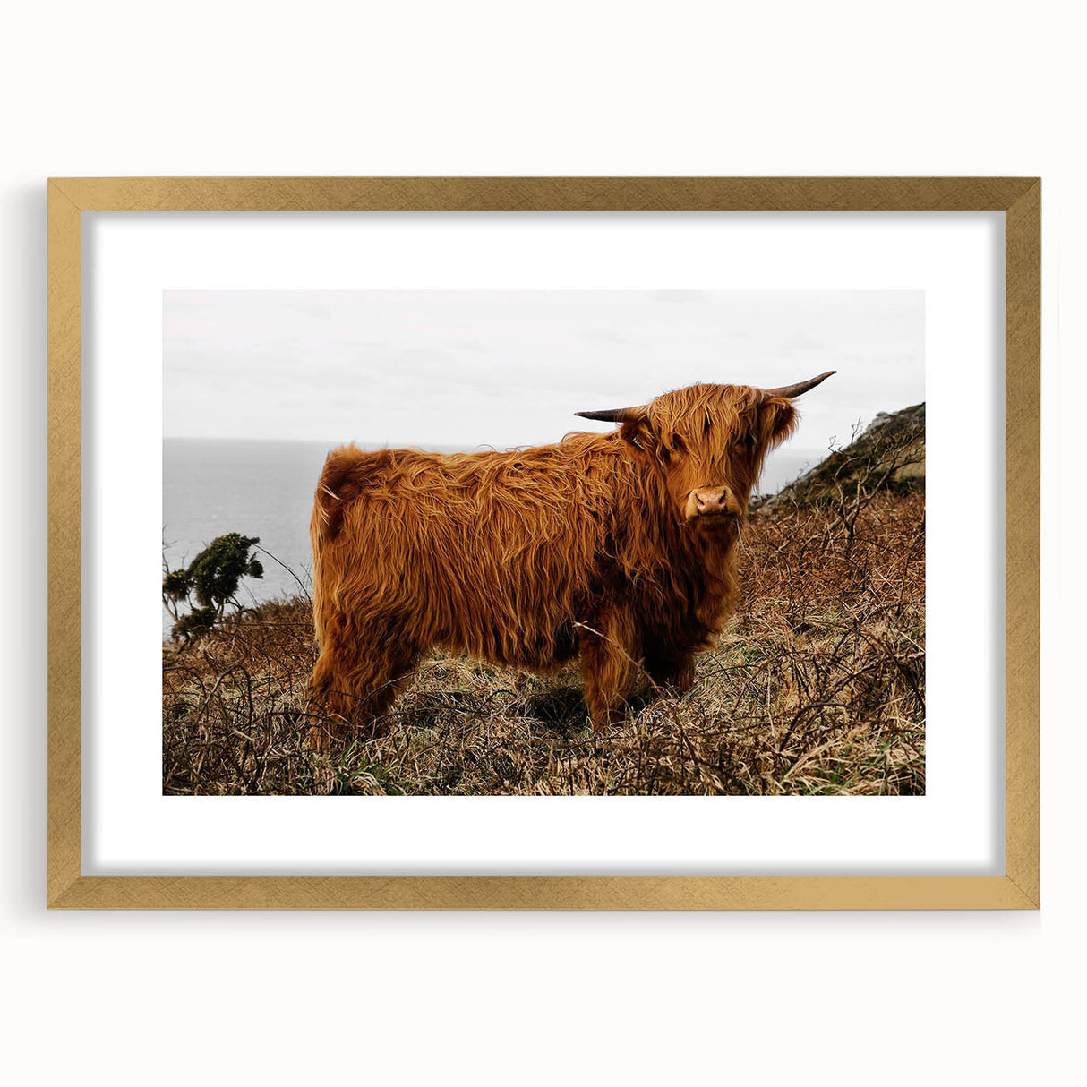 Highland Cow by the Coast Rustic Wall Art – Farmhouse Nature Decor Print