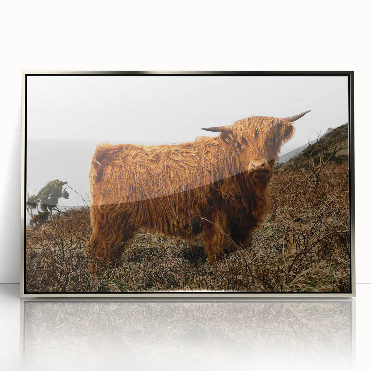 Highland Cow by the Coast Rustic Wall Art – Farmhouse Nature Decor Print
