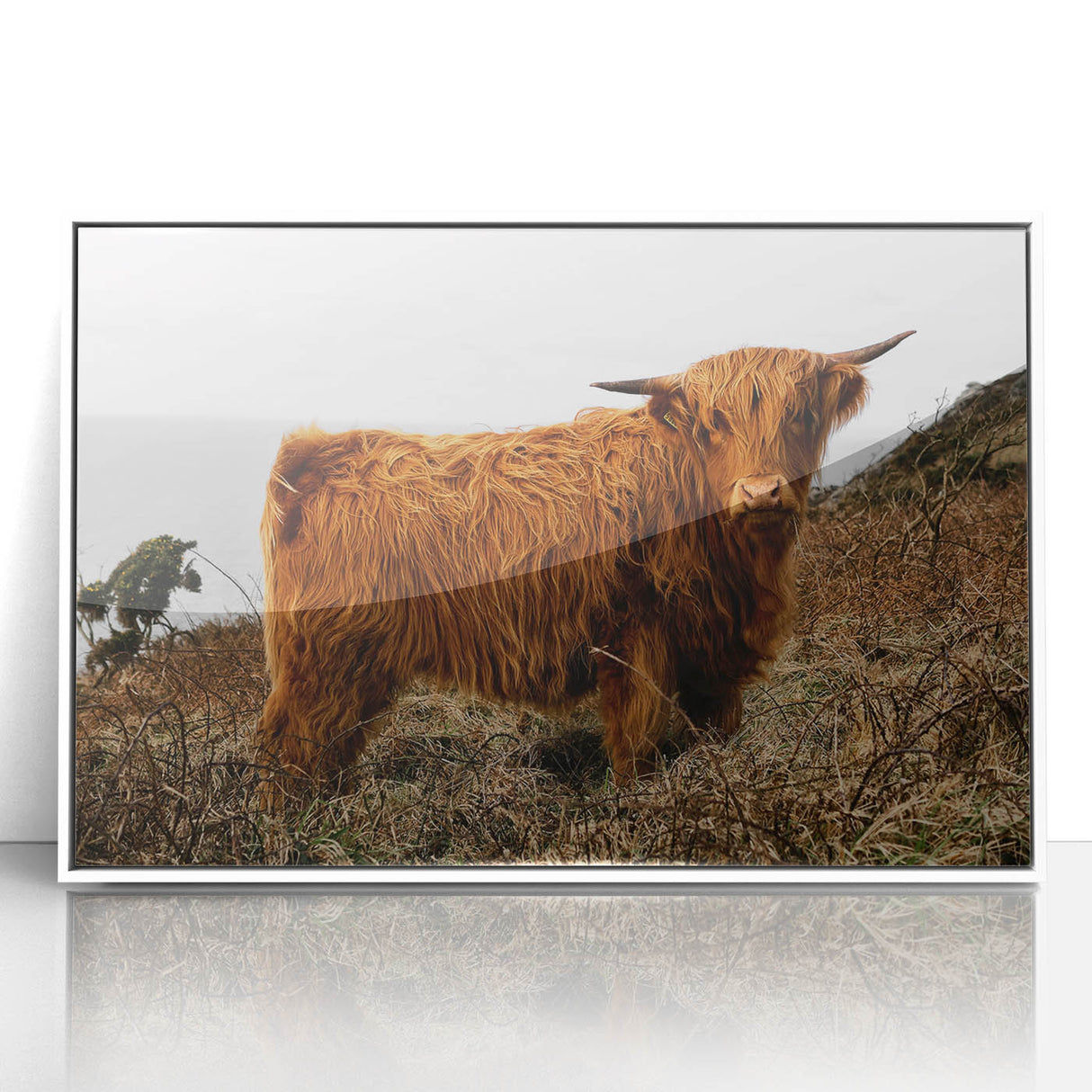 Highland Cow by the Coast Rustic Wall Art – Farmhouse Nature Decor Print