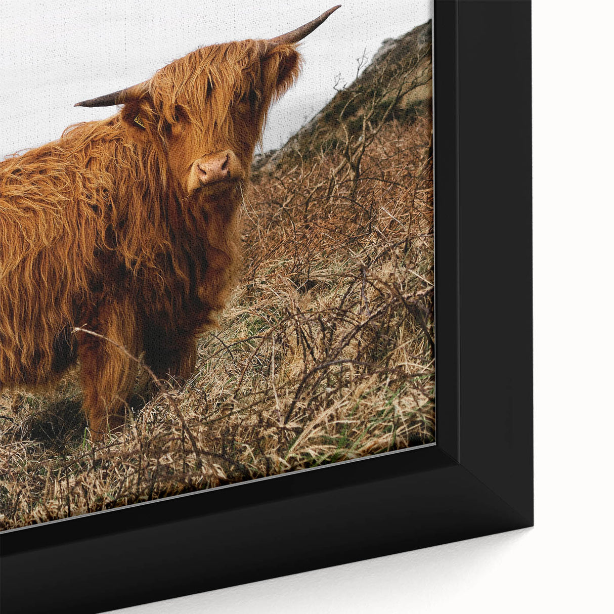 Highland Cow by the Coast Rustic Wall Art – Farmhouse Nature Decor Print
