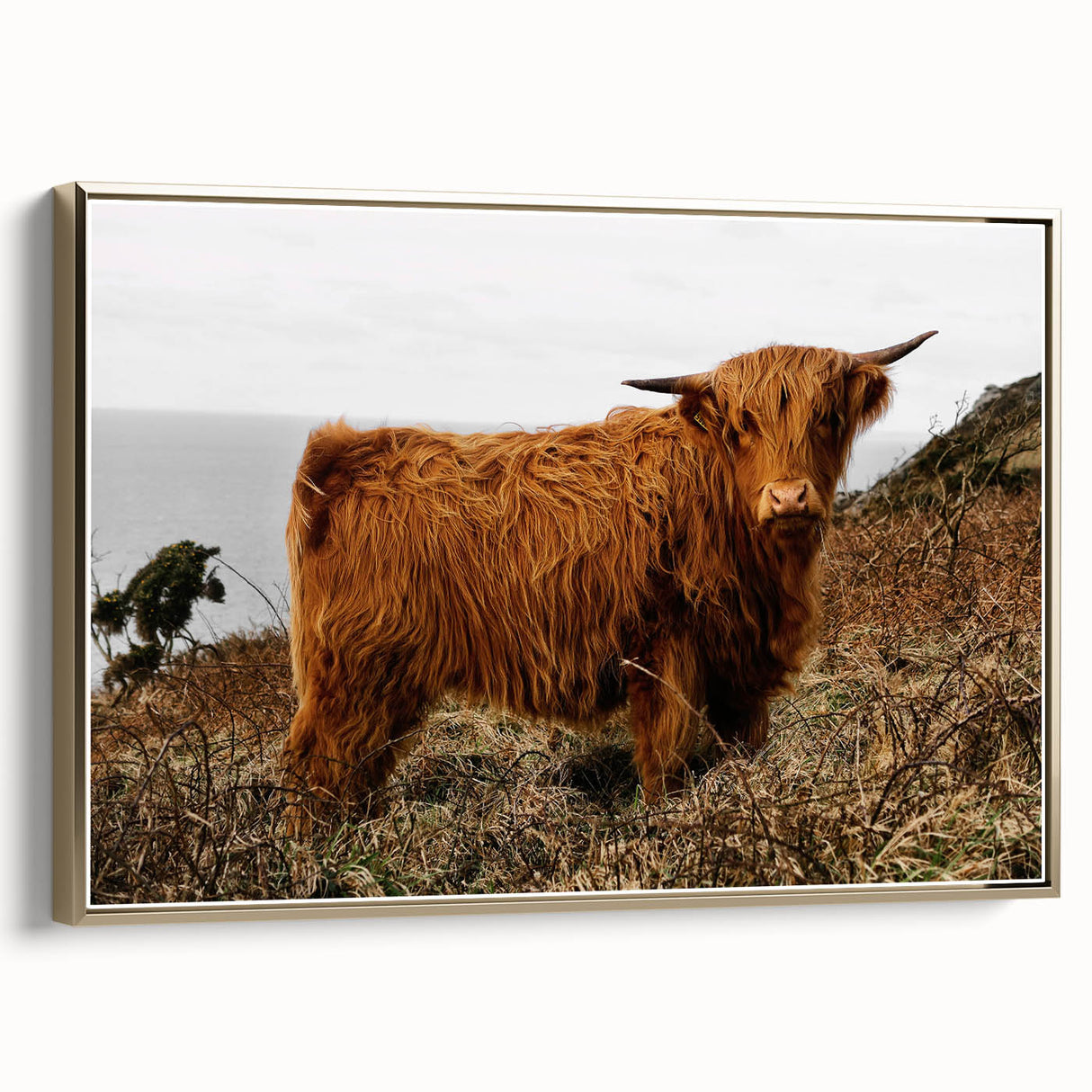 Highland Cow by the Coast Rustic Wall Art – Farmhouse Nature Decor Print