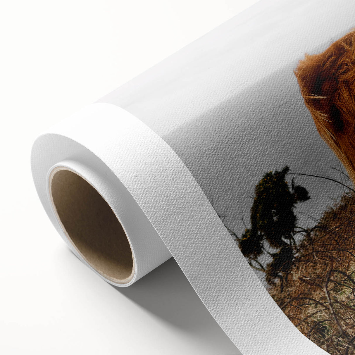 Highland Cow by the Coast Rustic Wall Art – Farmhouse Nature Decor Print