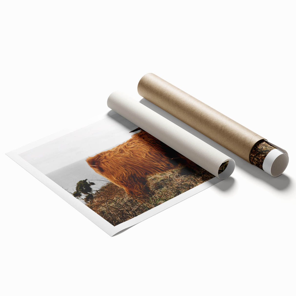 Highland Cow by the Coast Rustic Wall Art – Farmhouse Nature Decor Print