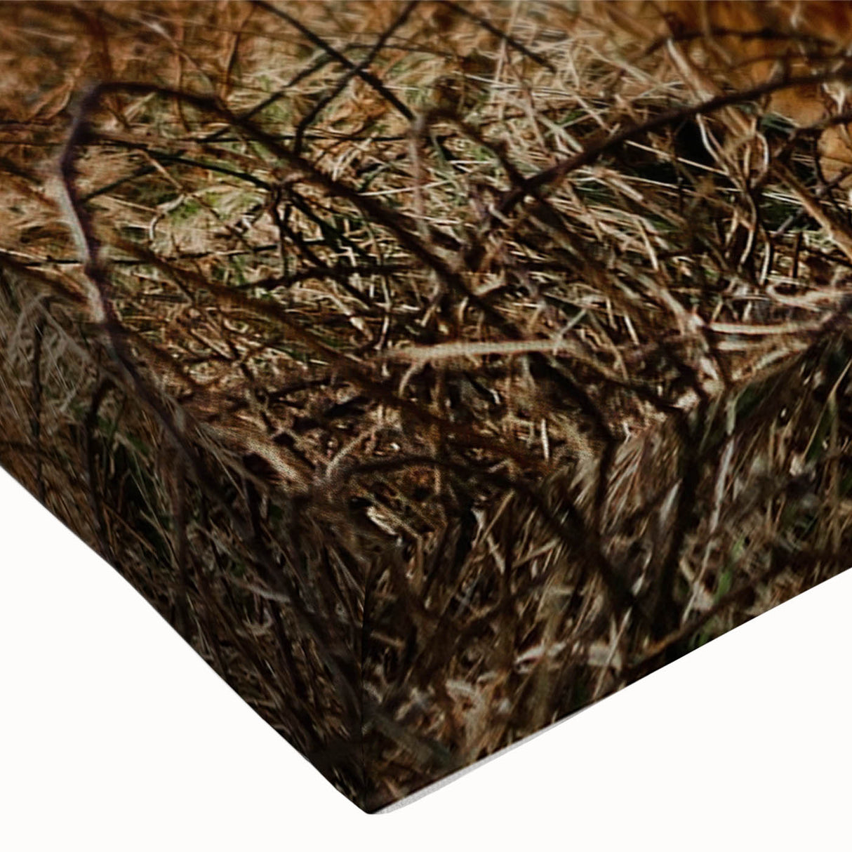 Highland Cow by the Coast Rustic Wall Art – Farmhouse Nature Decor Print