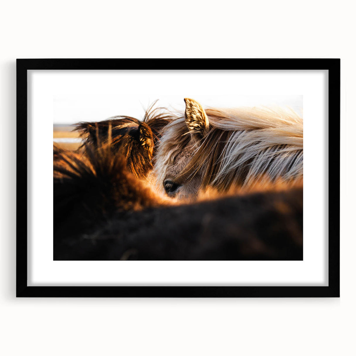 Rustic Wall Art - Close-Up of Horses with Warm Natural Lighting