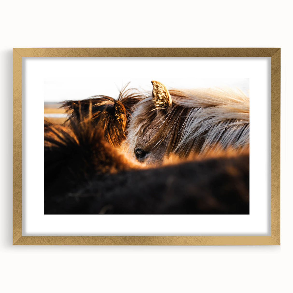 Rustic Wall Art - Close-Up of Horses with Warm Natural Lighting