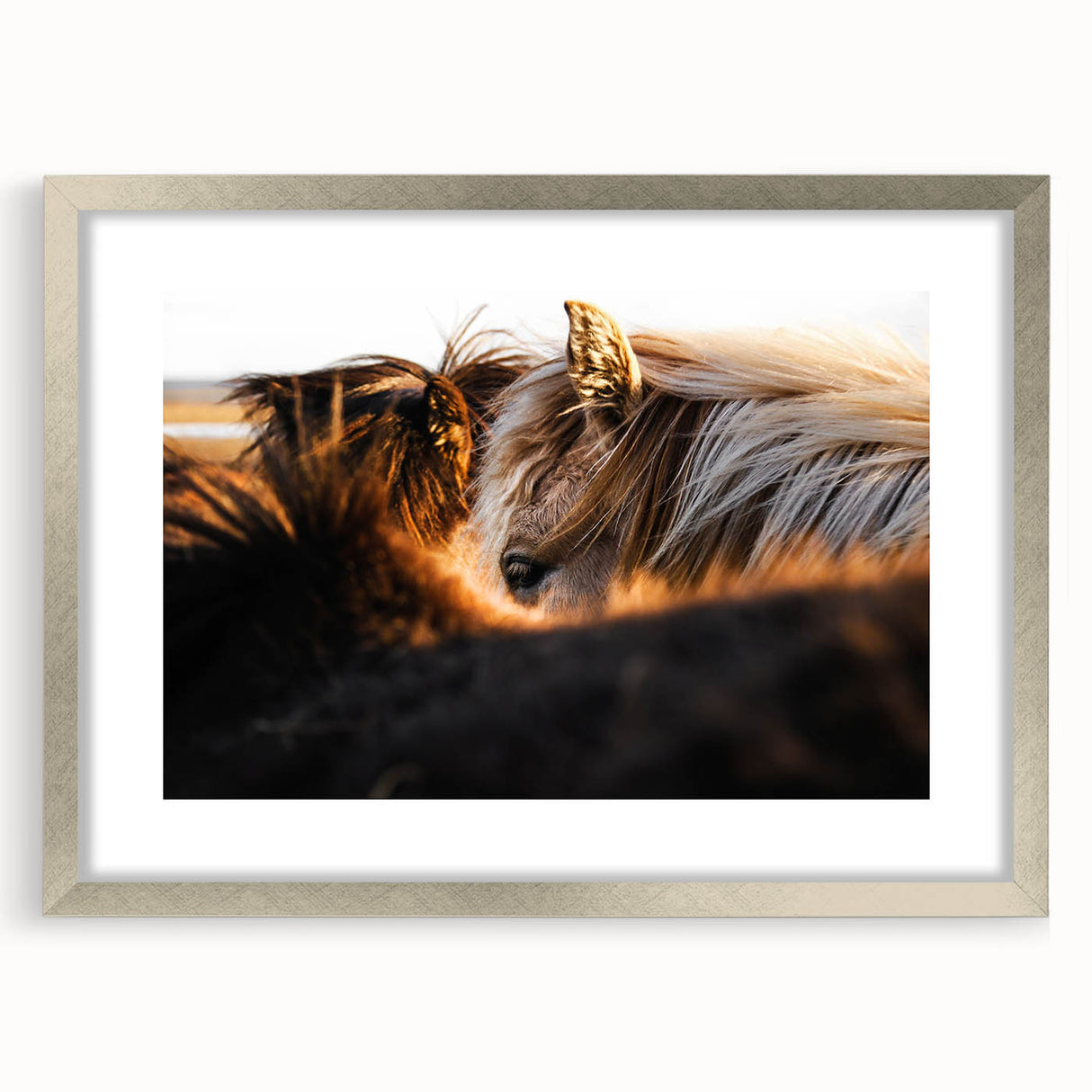 Rustic Wall Art - Close-Up of Horses with Warm Natural Lighting