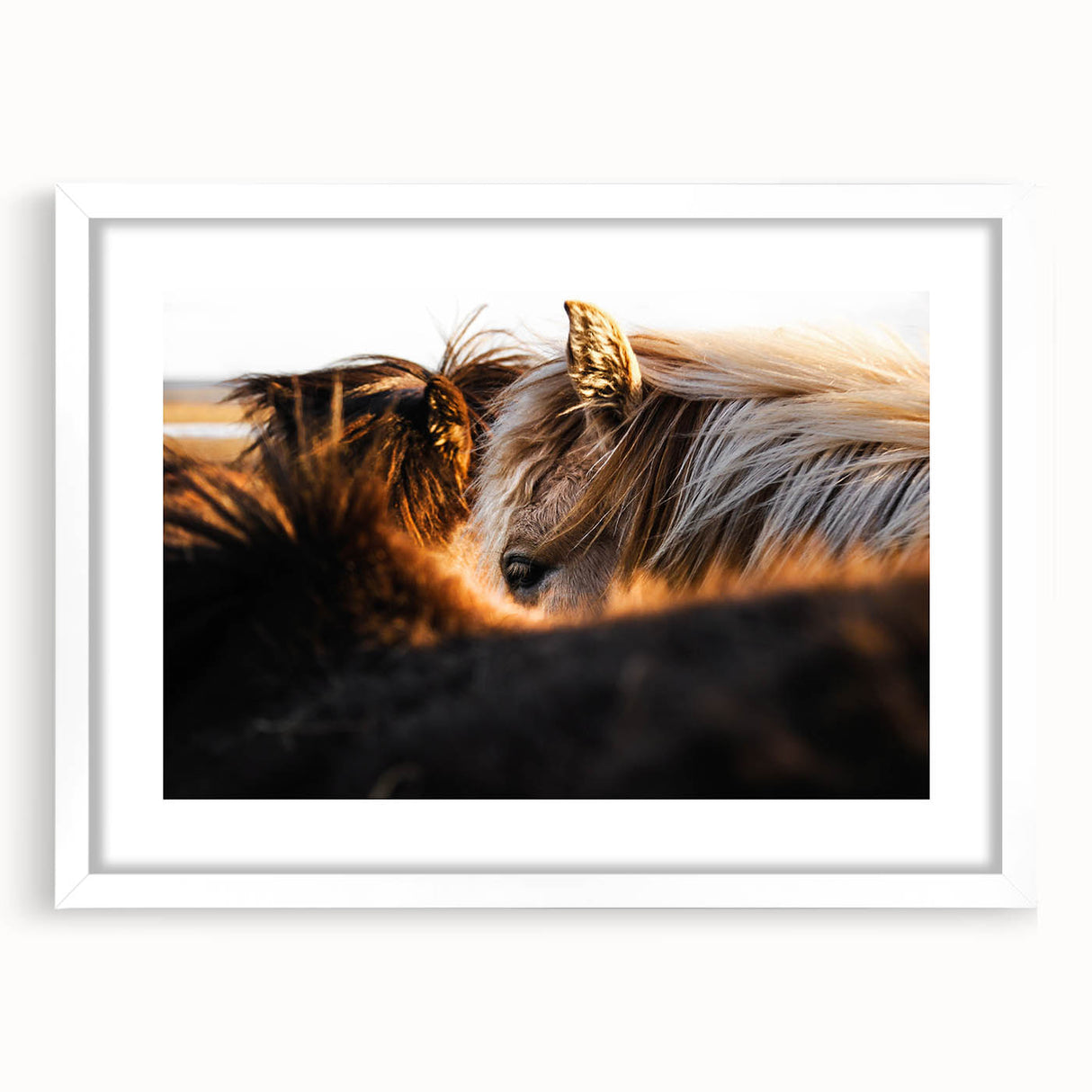 Rustic Wall Art - Close-Up of Horses with Warm Natural Lighting