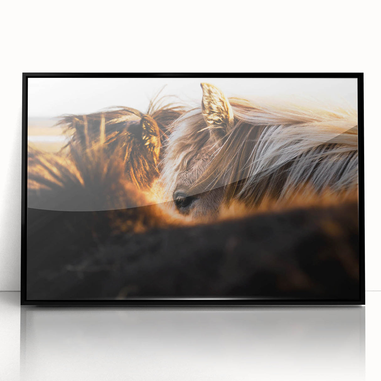 Rustic Wall Art - Close-Up of Horses with Warm Natural Lighting
