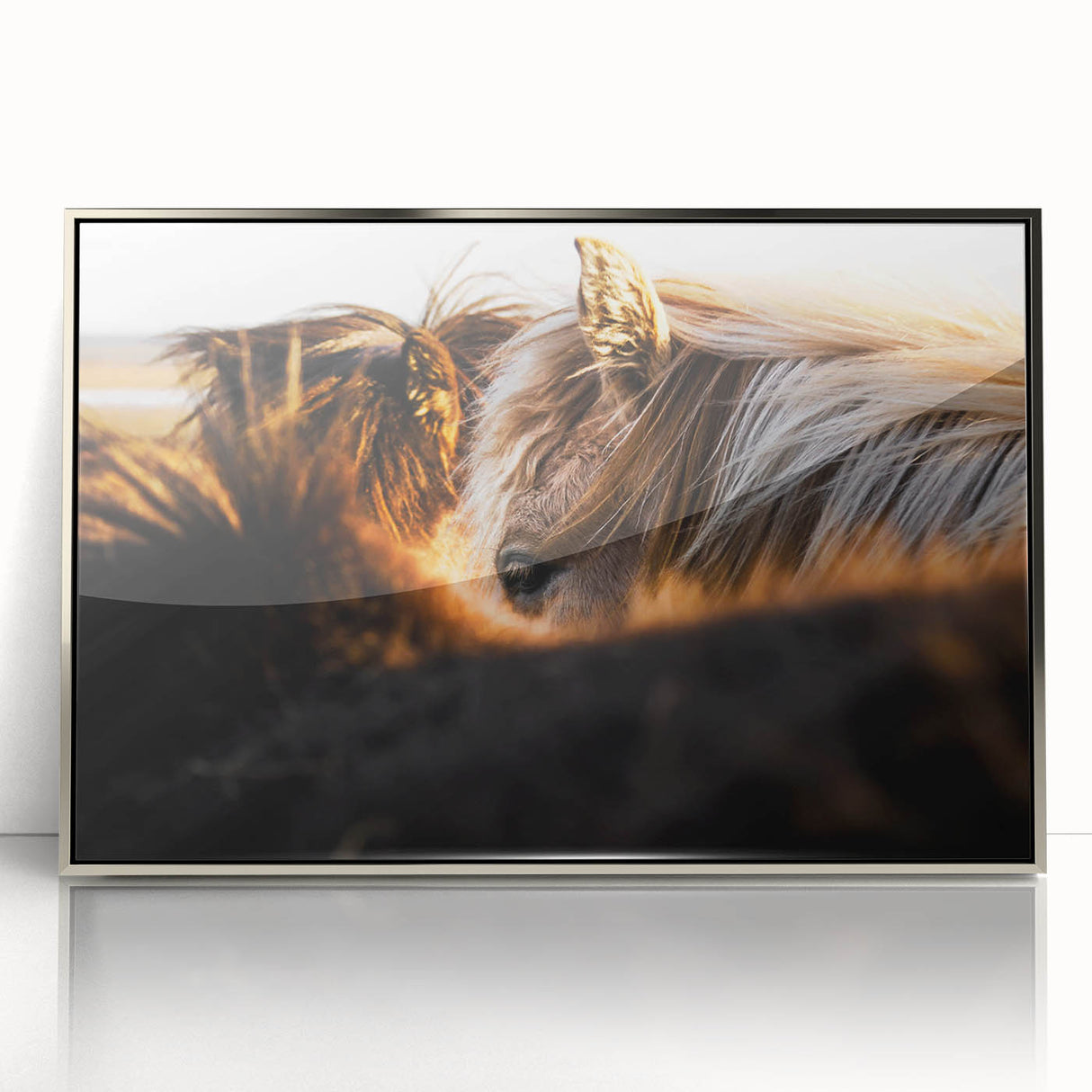 Rustic Wall Art - Close-Up of Horses with Warm Natural Lighting