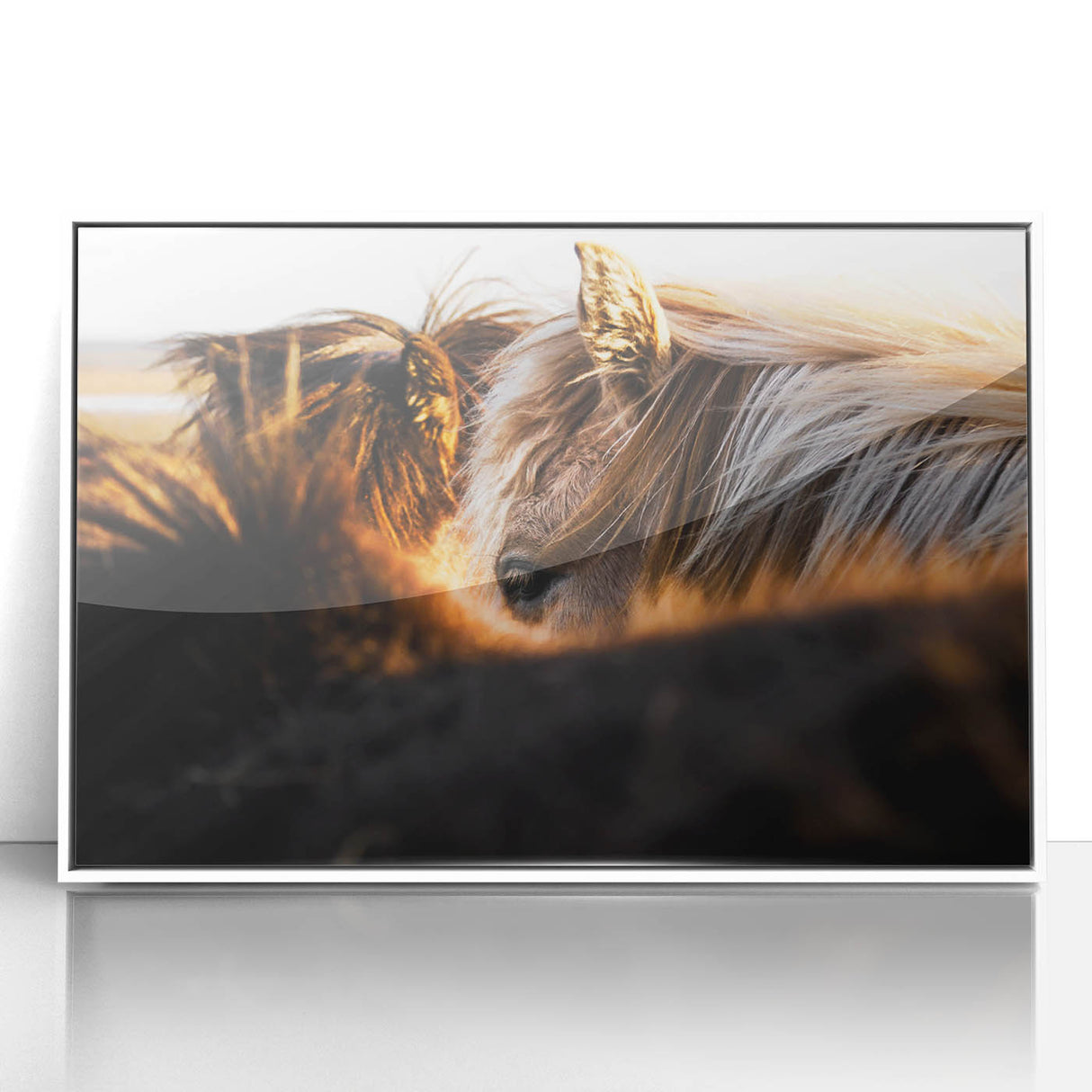 Rustic Wall Art - Close-Up of Horses with Warm Natural Lighting