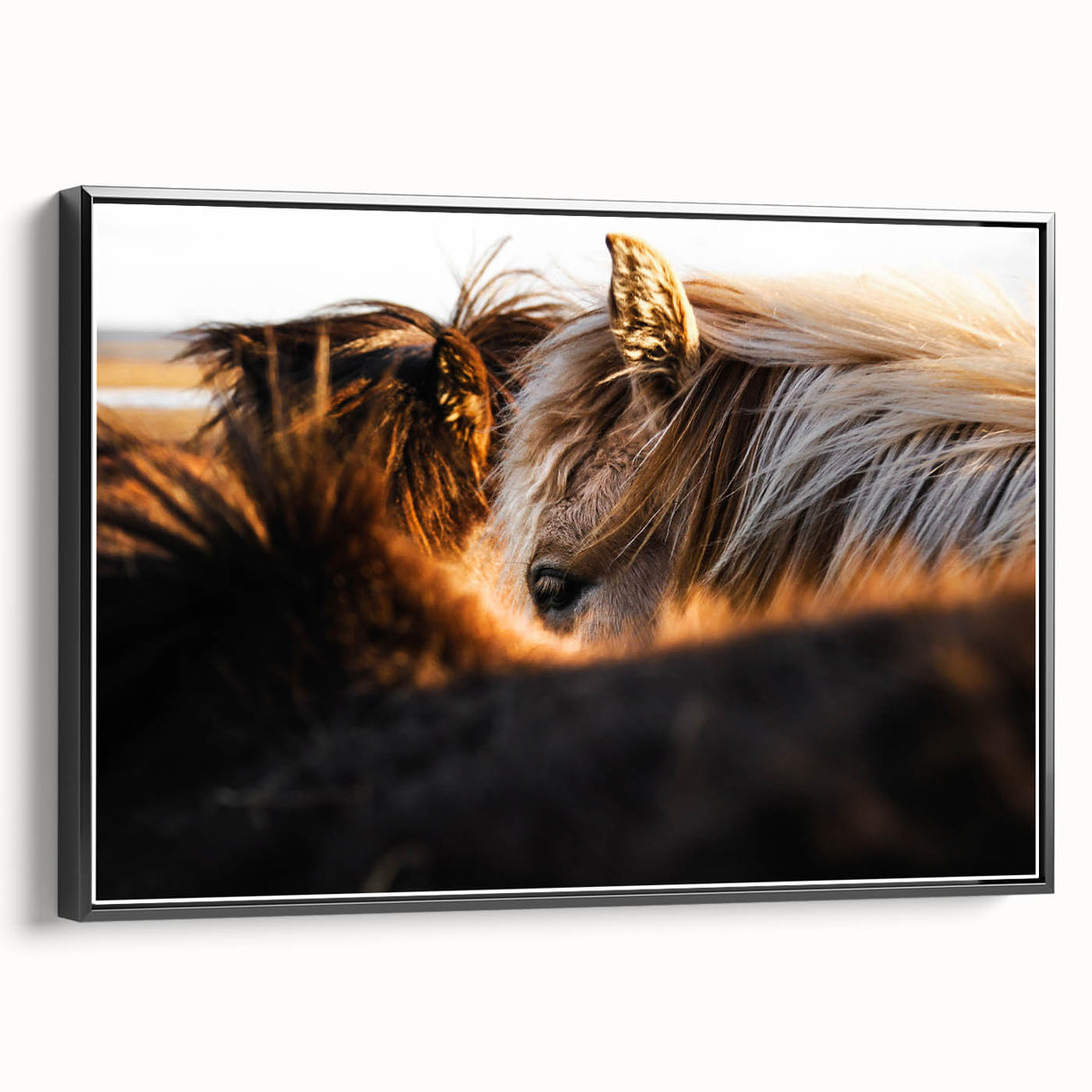 Rustic Wall Art - Close-Up of Horses with Warm Natural Lighting