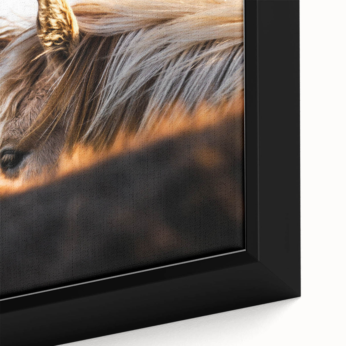 Rustic Wall Art - Close-Up of Horses with Warm Natural Lighting