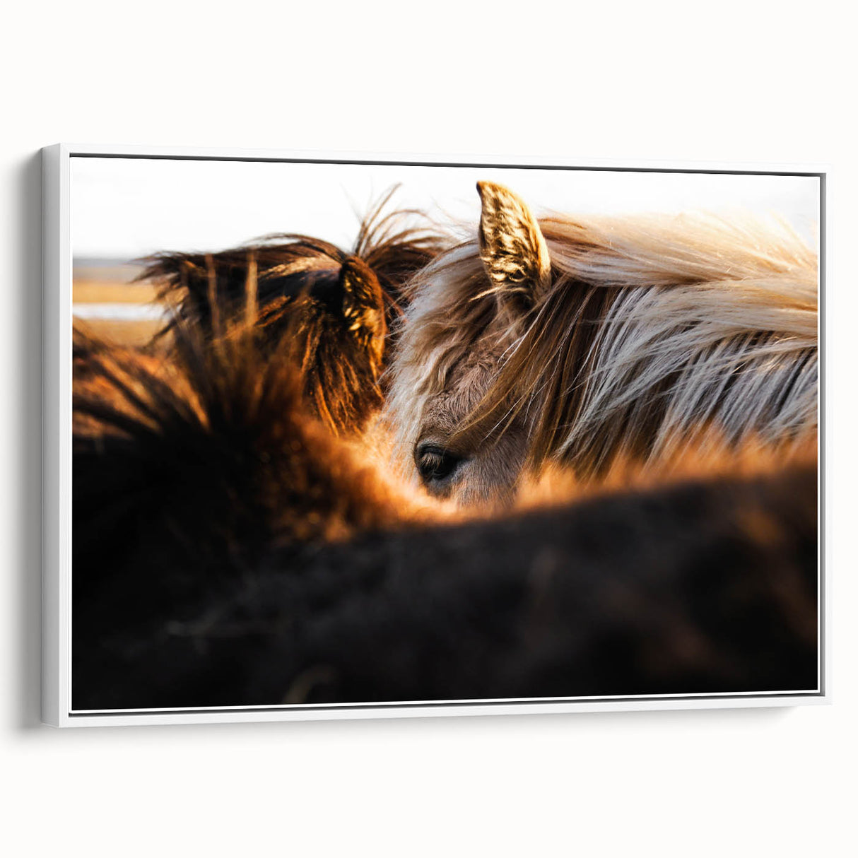 Rustic Wall Art - Close-Up of Horses with Warm Natural Lighting
