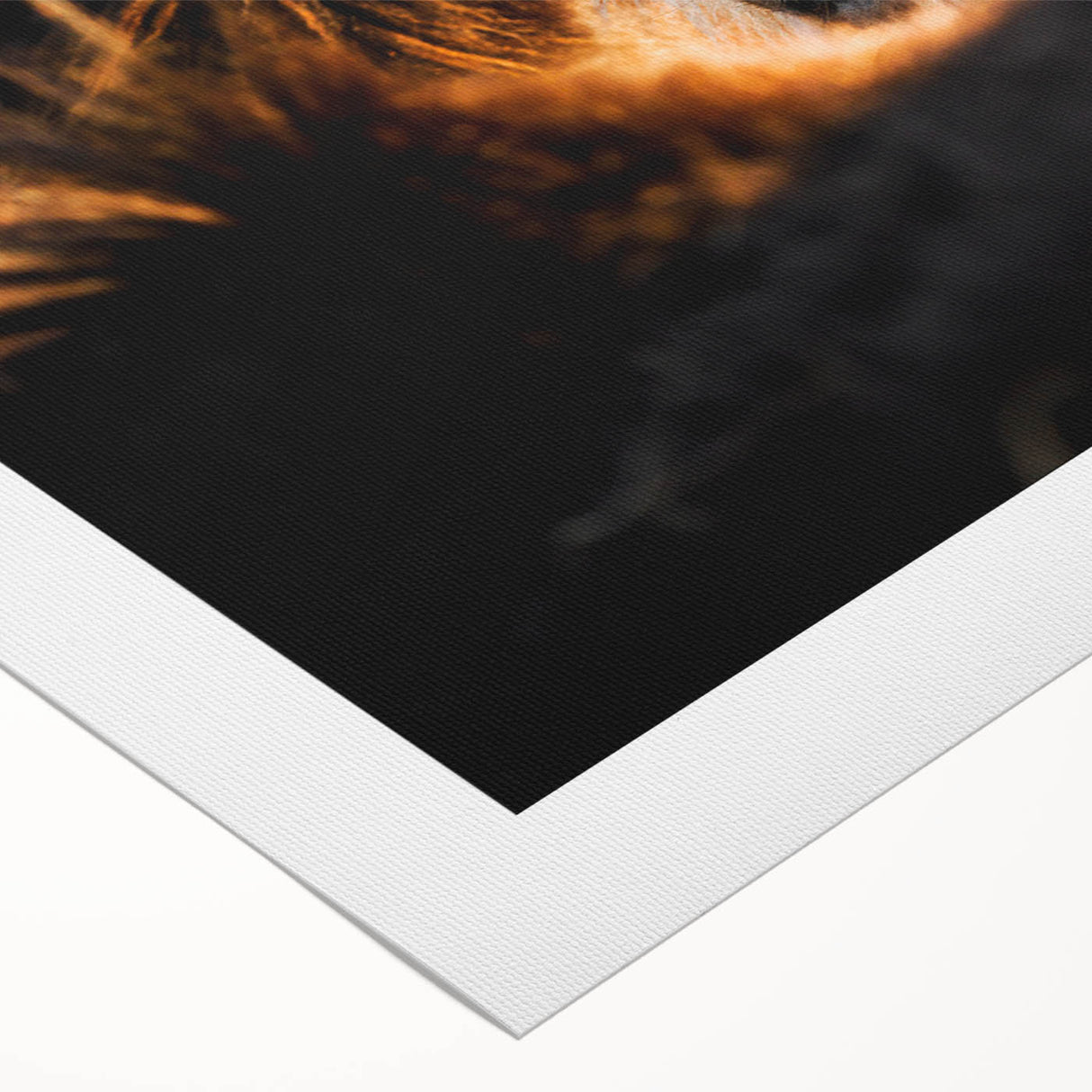 Rustic Wall Art - Close-Up of Horses with Warm Natural Lighting