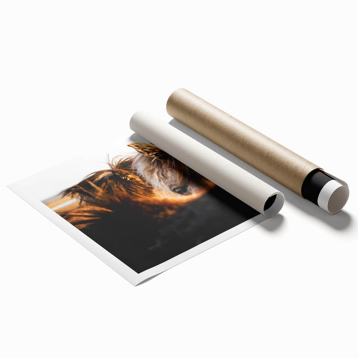 Rustic Wall Art - Close-Up of Horses with Warm Natural Lighting