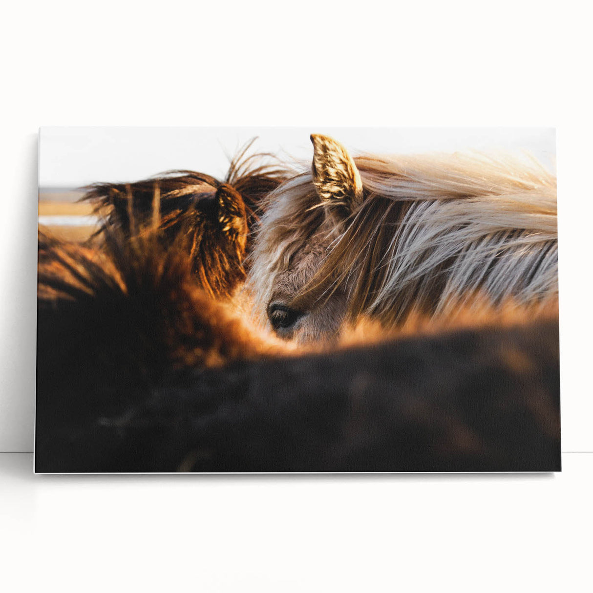 Rustic Wall Art - Close-Up of Horses with Warm Natural Lighting