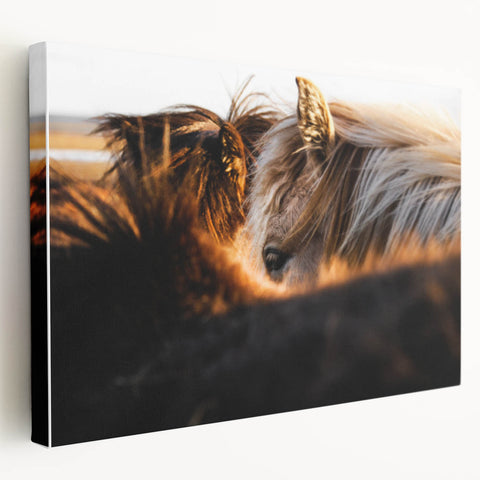 Rustic Wall Art - Close-Up of Horses with Warm Natural Lighting