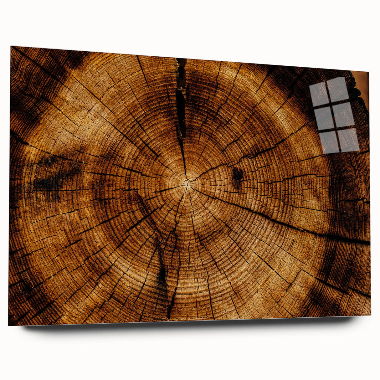Rustic Wall Art - Tree Trunk Cross-Section with Natural Wood Texture