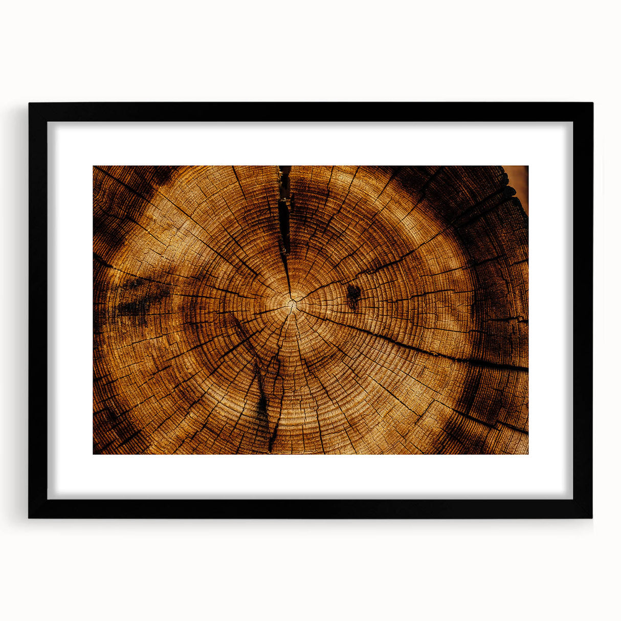 Rustic Wall Art - Tree Trunk Cross-Section with Natural Wood Texture