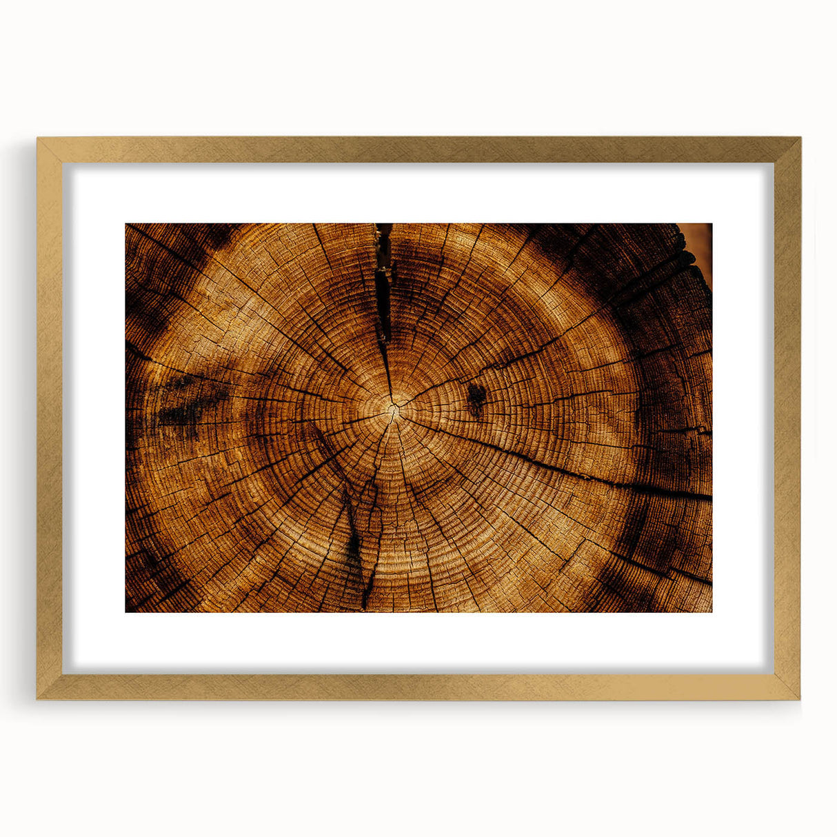 Rustic Wall Art - Tree Trunk Cross-Section with Natural Wood Texture