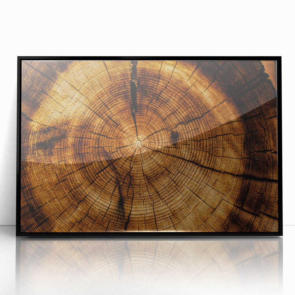 Rustic Wall Art - Tree Trunk Cross-Section with Natural Wood Texture