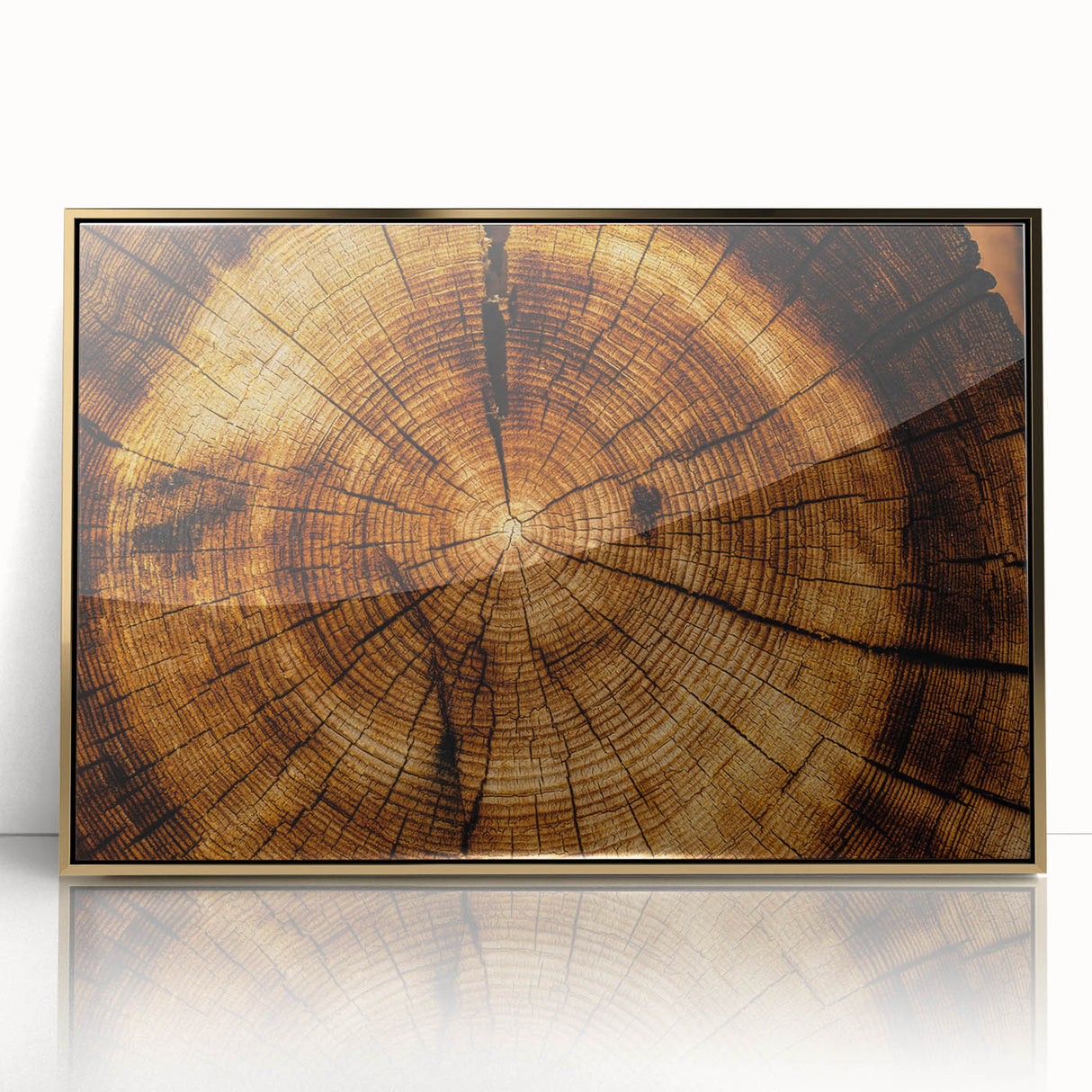 Rustic Wall Art - Tree Trunk Cross-Section with Natural Wood Texture