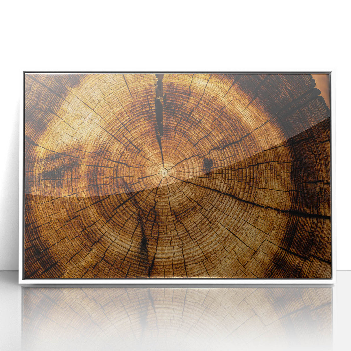Rustic Wall Art - Tree Trunk Cross-Section with Natural Wood Texture