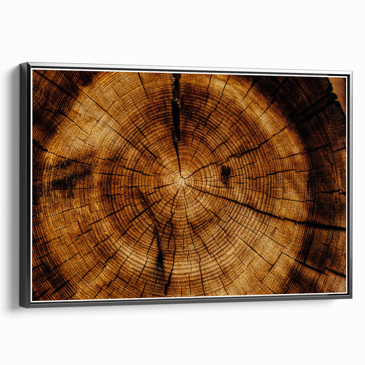 Rustic Wall Art - Tree Trunk Cross-Section with Natural Wood Texture