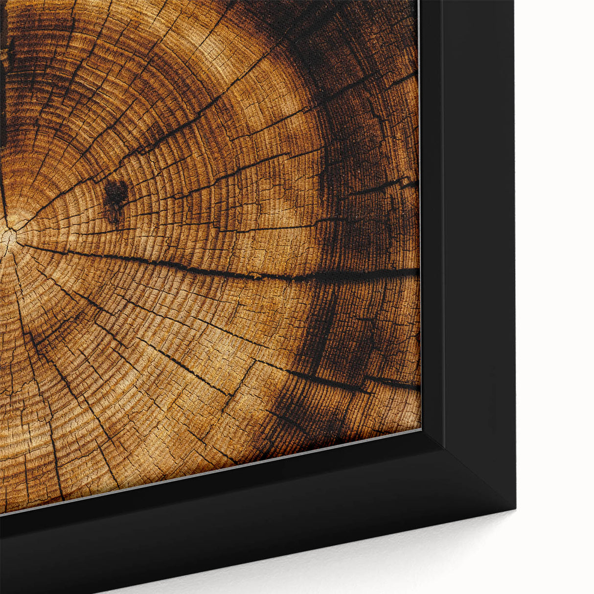 Rustic Wall Art - Tree Trunk Cross-Section with Natural Wood Texture