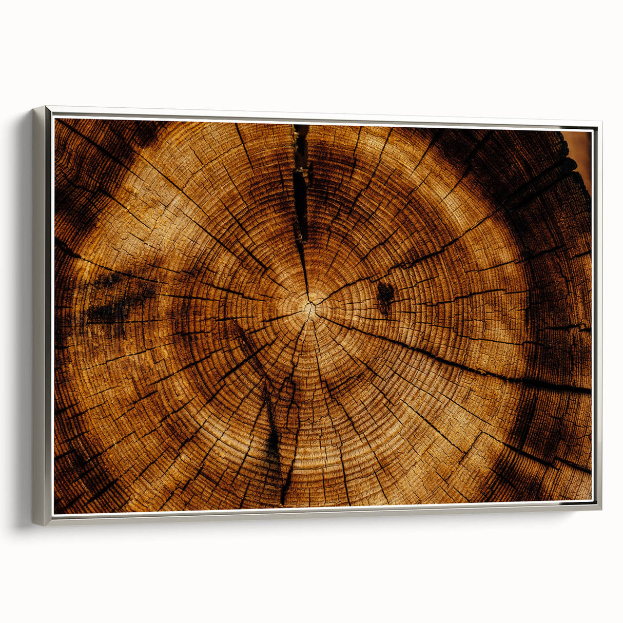 Rustic Wall Art - Tree Trunk Cross-Section with Natural Wood Texture