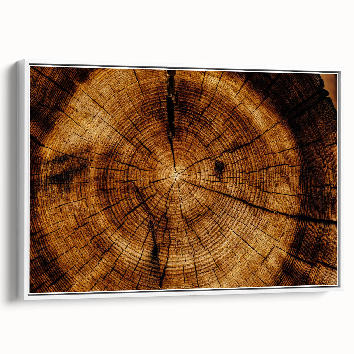 Rustic Wall Art - Tree Trunk Cross-Section with Natural Wood Texture