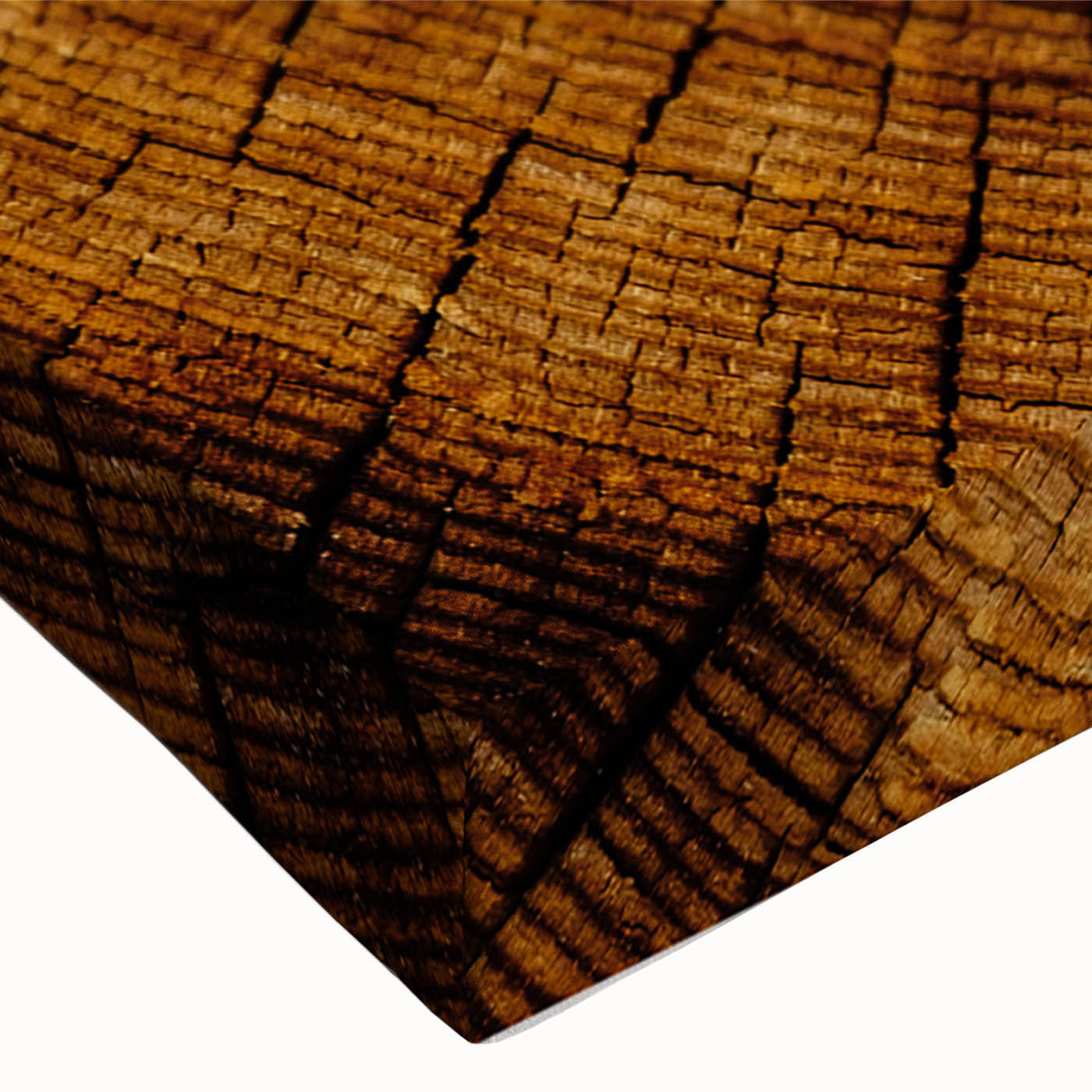 Rustic Wall Art - Tree Trunk Cross-Section with Natural Wood Texture