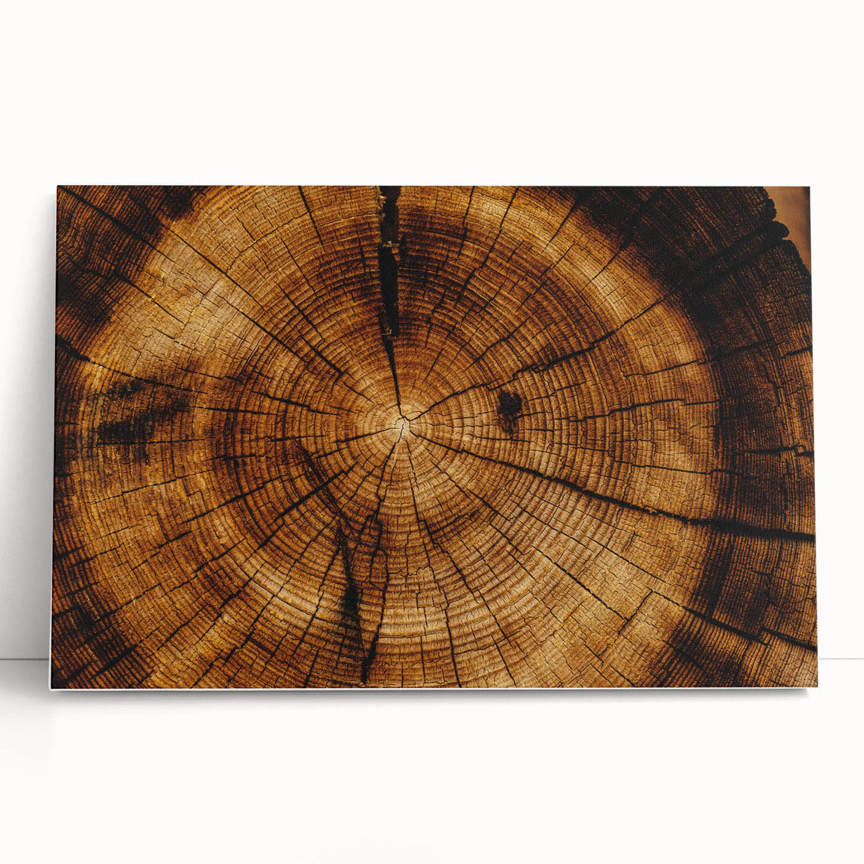 Rustic Wall Art - Tree Trunk Cross-Section with Natural Wood Texture