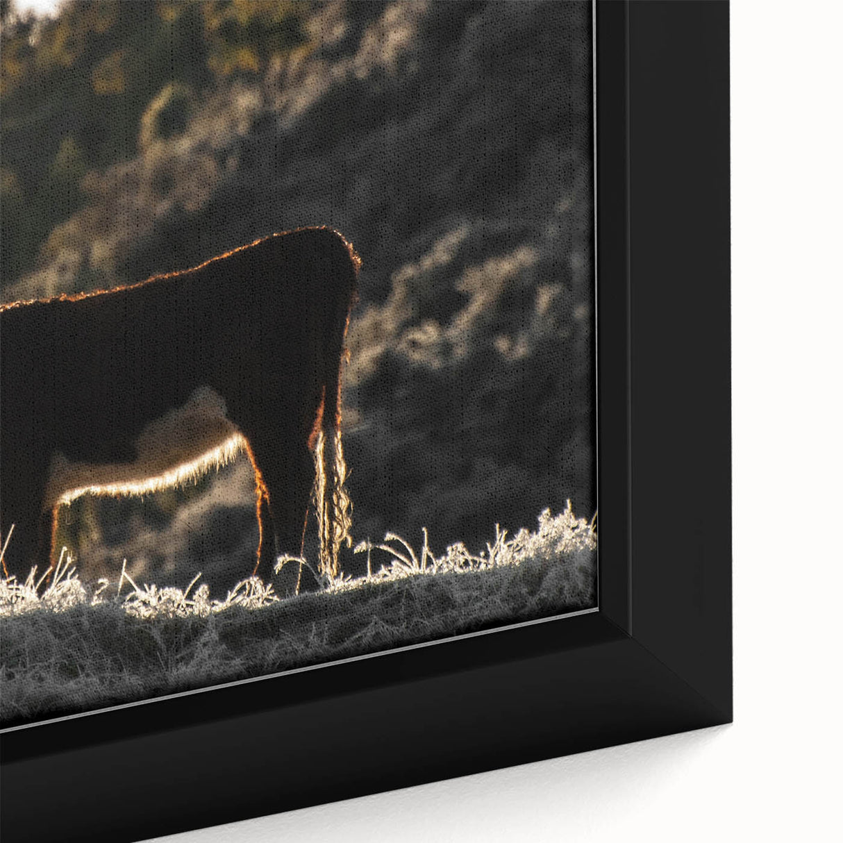 Lone Cow at Dusk Wall Art | Rustic Farmhouse Animal Decor | Nature Print