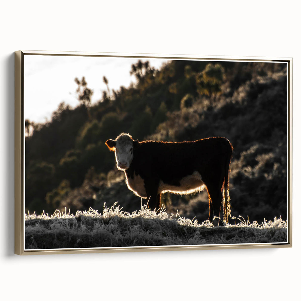 Lone Cow at Dusk Wall Art | Rustic Farmhouse Animal Decor | Nature Print