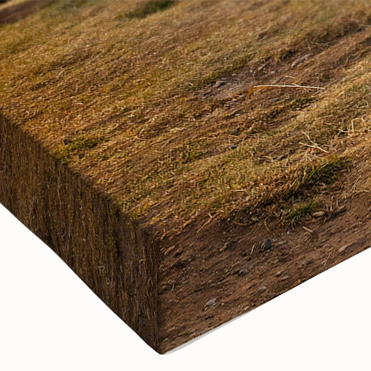 Rustic Barn with Mountain Backdrop | Farmhouse Wall Art | Vintage Landscape