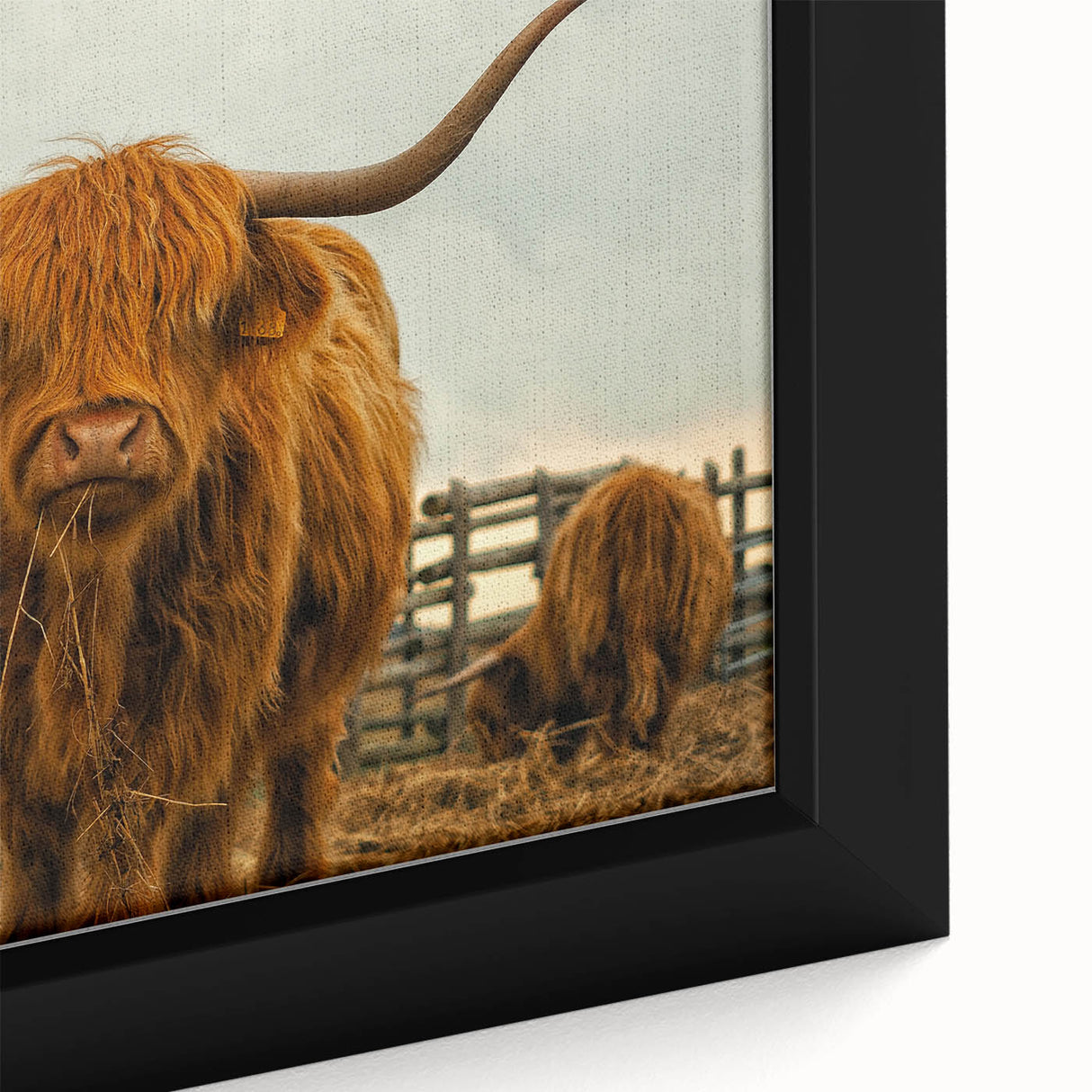Highland Cow Rustic Wall Art - Farmhouse Decor for Cozy Country Homes