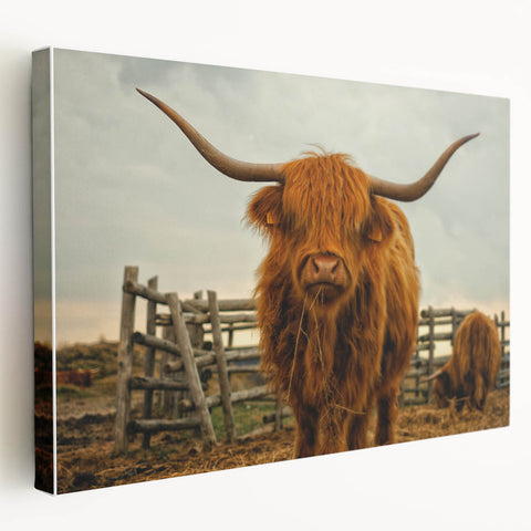 Highland Cow Rustic Wall Art - Farmhouse Decor for Cozy Country Homes