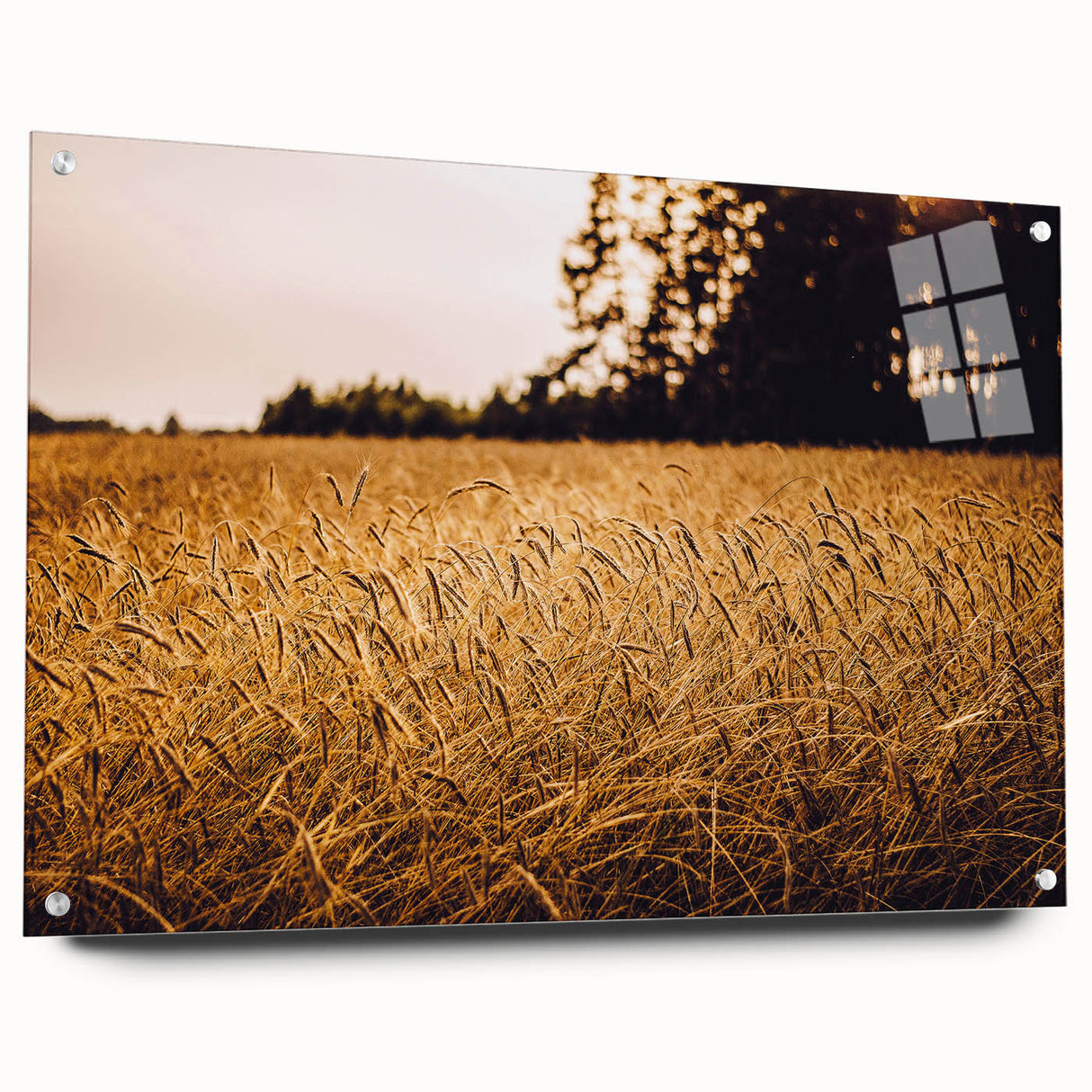 Golden Wheat Field Rustic Wall Art - Farmhouse Nature Decor for Homes