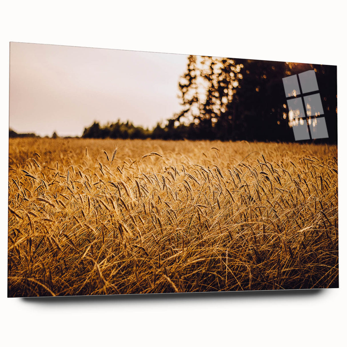 Golden Wheat Field Rustic Wall Art - Farmhouse Nature Decor for Homes
