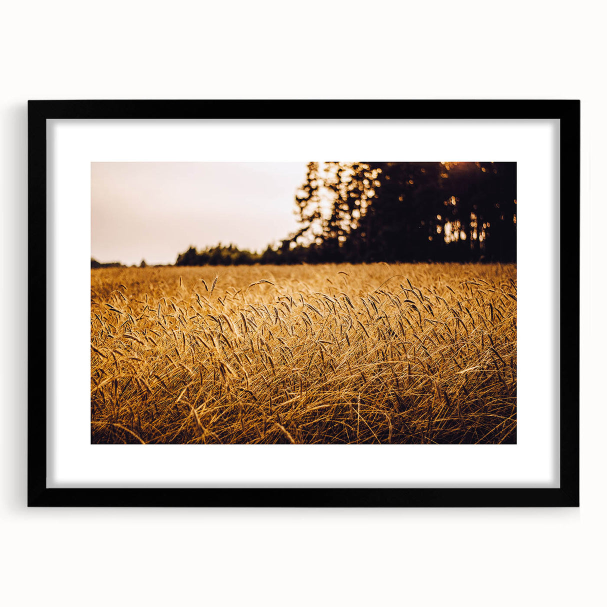 Golden Wheat Field Rustic Wall Art - Farmhouse Nature Decor for Homes