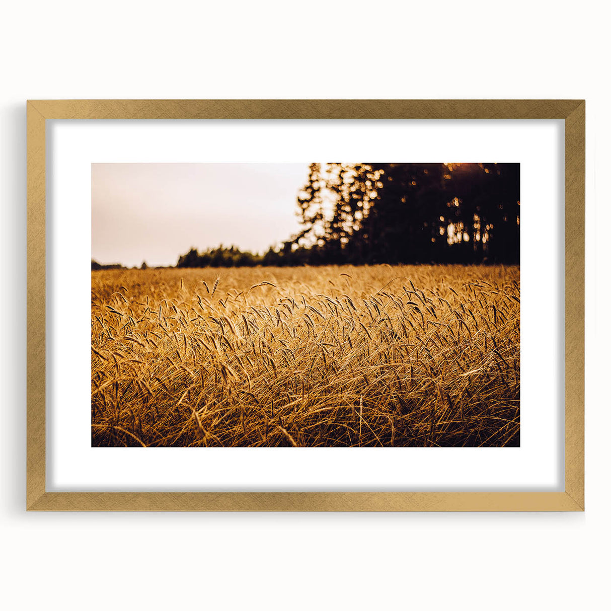 Golden Wheat Field Rustic Wall Art - Farmhouse Nature Decor for Homes