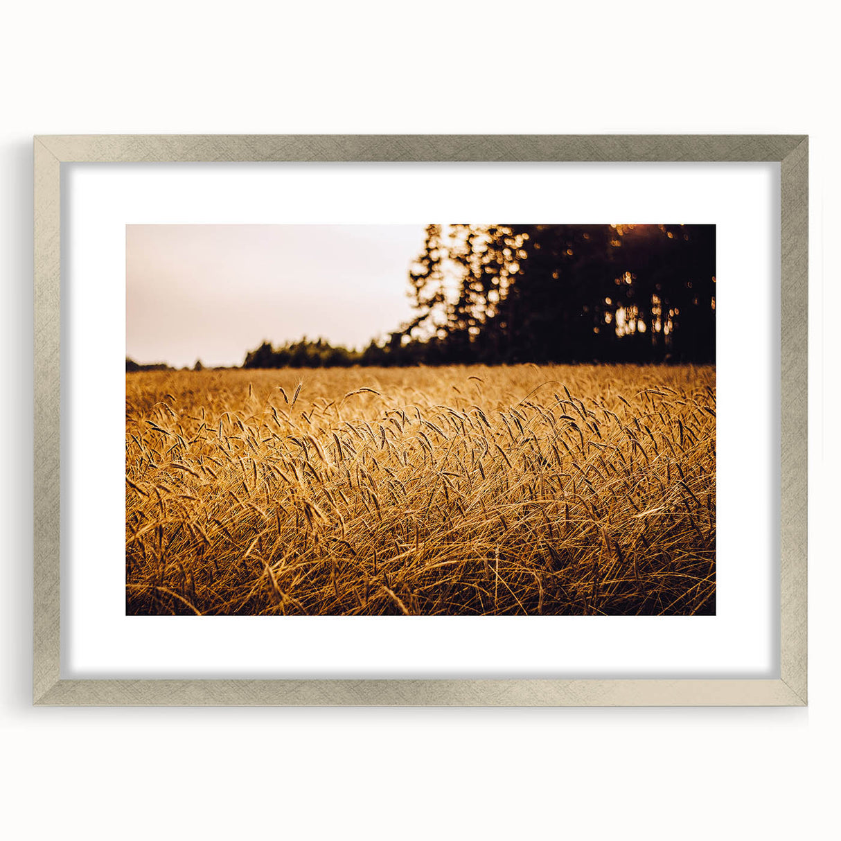 Golden Wheat Field Rustic Wall Art - Farmhouse Nature Decor for Homes