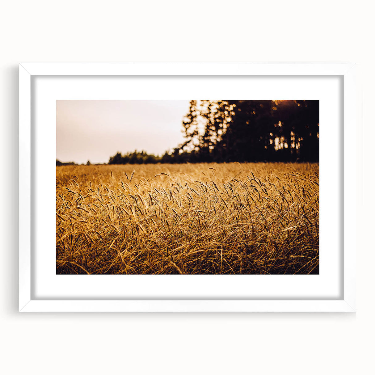Golden Wheat Field Rustic Wall Art - Farmhouse Nature Decor for Homes