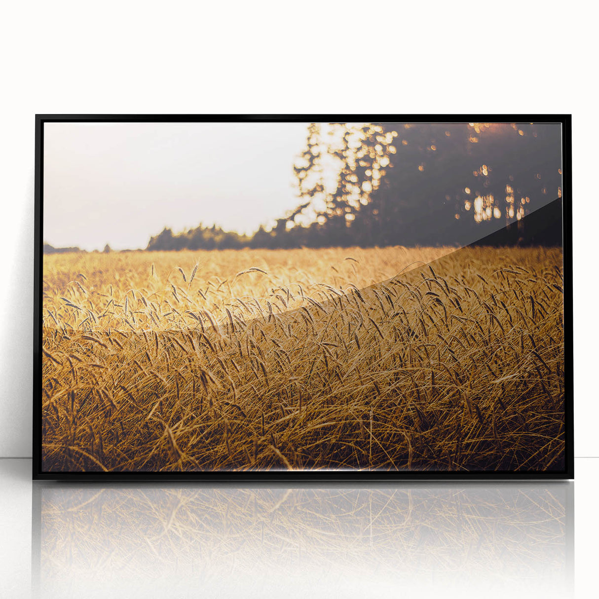Golden Wheat Field Rustic Wall Art - Farmhouse Nature Decor for Homes