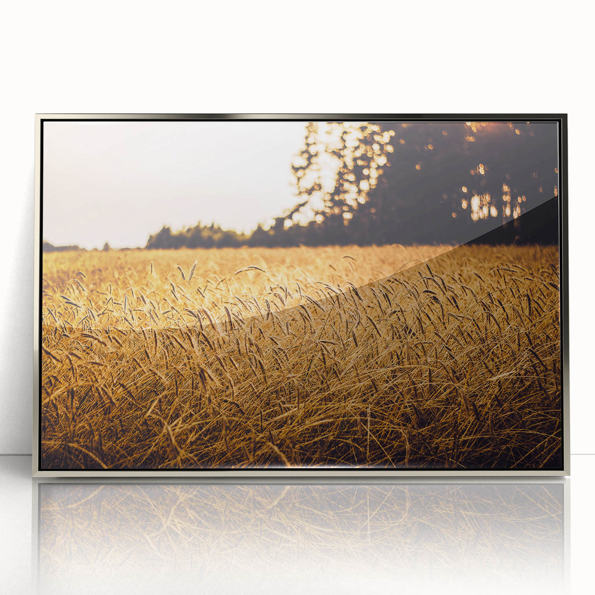 Golden Wheat Field Rustic Wall Art - Farmhouse Nature Decor for Homes