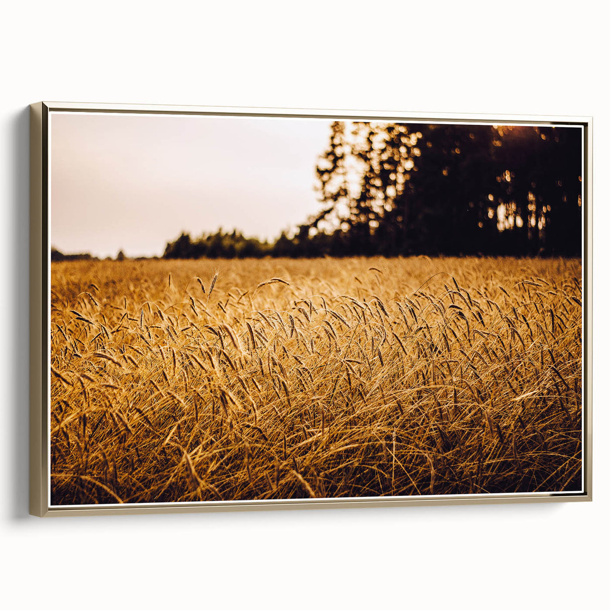 Golden Wheat Field Rustic Wall Art - Farmhouse Nature Decor for Homes