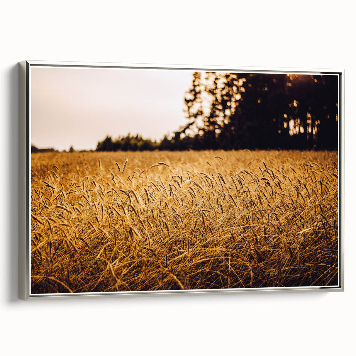 Golden Wheat Field Rustic Wall Art - Farmhouse Nature Decor for Homes