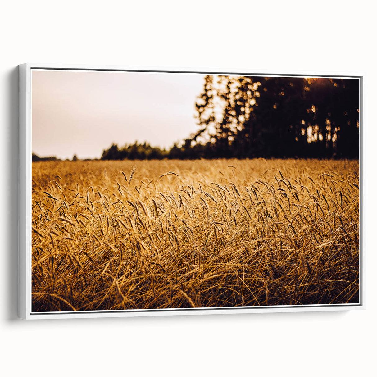 Golden Wheat Field Rustic Wall Art - Farmhouse Nature Decor for Homes